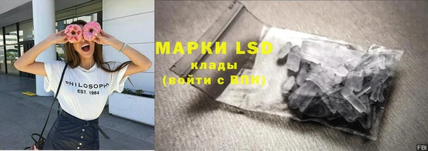 ГАЛЛЮЦИНОГЕННЫЕ ГРИБЫ Иннополис