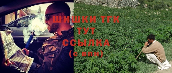 метадон Инсар