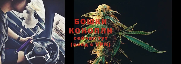 ГАЛЛЮЦИНОГЕННЫЕ ГРИБЫ Иннополис