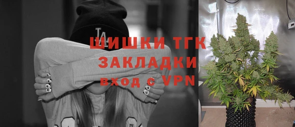 ГАЛЛЮЦИНОГЕННЫЕ ГРИБЫ Иннополис