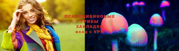 метадон Инсар