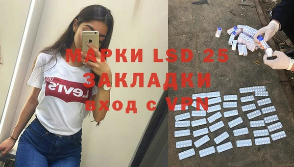 ГАЛЛЮЦИНОГЕННЫЕ ГРИБЫ Иннополис