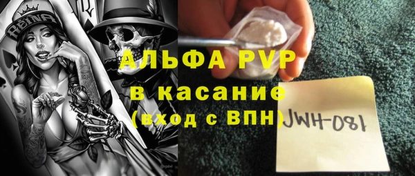 ГАЛЛЮЦИНОГЕННЫЕ ГРИБЫ Иннополис