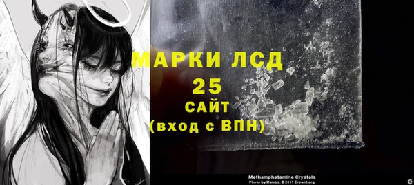 ГАЛЛЮЦИНОГЕННЫЕ ГРИБЫ Иннополис