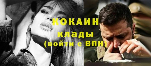 ГАЛЛЮЦИНОГЕННЫЕ ГРИБЫ Иннополис