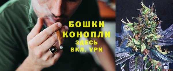 ГАЛЛЮЦИНОГЕННЫЕ ГРИБЫ Иннополис