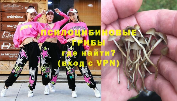 метадон Инсар